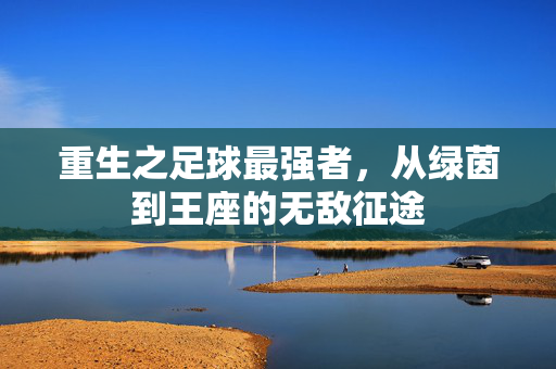 重生之足球最强者，从绿茵到王座的无敌征途