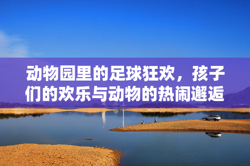 动物园里的足球狂欢，孩子们的欢乐与动物的热闹邂逅
