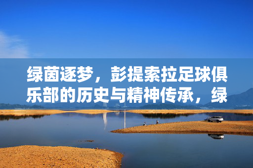 绿茵逐梦，彭提索拉足球俱乐部的历史与精神传承，绿茵逐梦，彭提索拉足球俱乐部的历史与精神传承