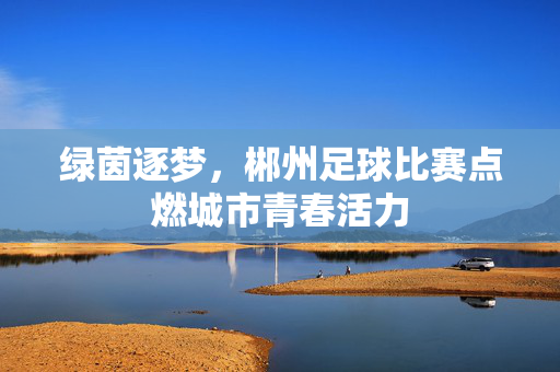 绿茵逐梦，郴州足球比赛点燃城市青春活力