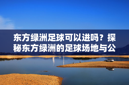 东方绿洲足球可以进吗？探秘东方绿洲的足球场地与公众参与可能性