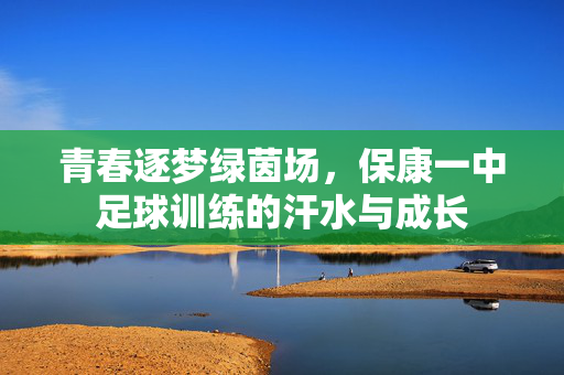 青春逐梦绿茵场，保康一中足球训练的汗水与成长