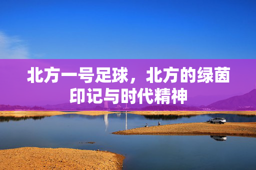 北方一号足球，北方的绿茵印记与时代精神