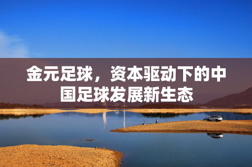 金元足球，资本驱动下的中国足球发展新生态