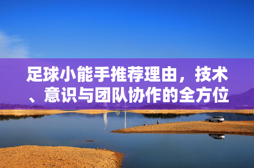 足球小能手推荐理由，技术、意识与团队协作的全方位解析，足球小能手推荐理由，技术、意识与团队协作的全方位解析