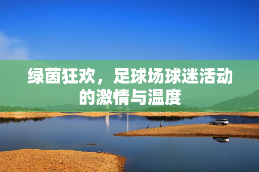 绿茵狂欢，足球场球迷活动的激情与温度