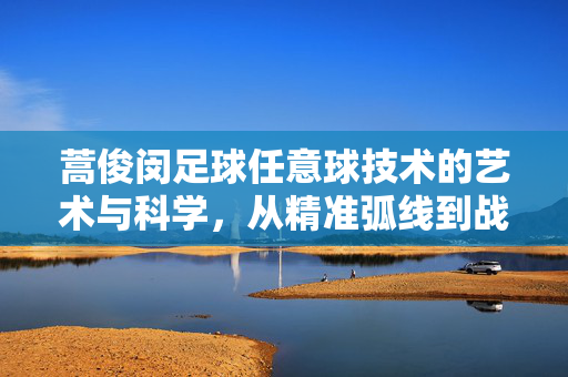 蒿俊闵足球任意球技术的艺术与科学，从精准弧线到战术价值的深度解析