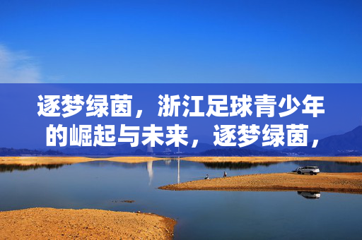 逐梦绿茵，浙江足球青少年的崛起与未来，逐梦绿茵，浙江足球青少年的崛起与未来
