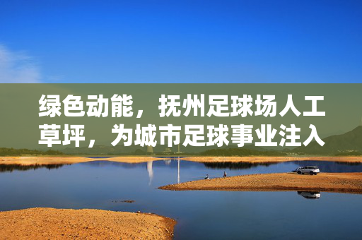 绿色动能，抚州足球场人工草坪，为城市足球事业注入活力