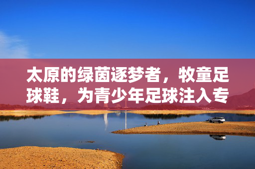 太原的绿茵逐梦者，牧童足球鞋，为青少年足球注入专业与活力，太原绿茵逐梦者，牧童足球鞋为青少年足球注入专业与活力