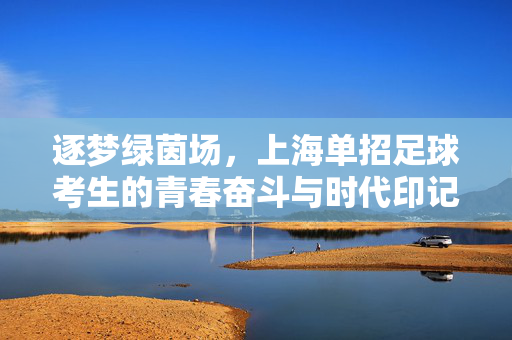 逐梦绿茵场,上海单招足球考生的青春奋斗与时代印记,逐梦绿茵场,上海单招足球考生的青春奋斗与时代印记