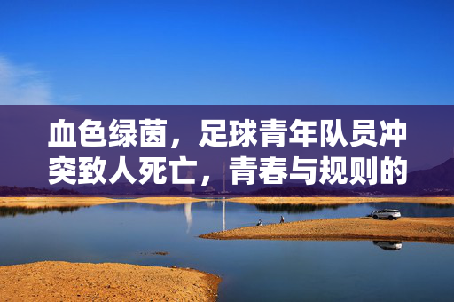 血色绿茵，足球青年队员冲突致人死亡，青春与规则的残酷碰撞