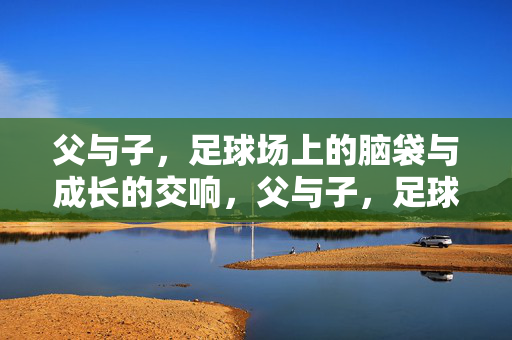 父与子，足球场上的脑袋与成长的交响，父与子，足球场上的脑袋与成长的交响