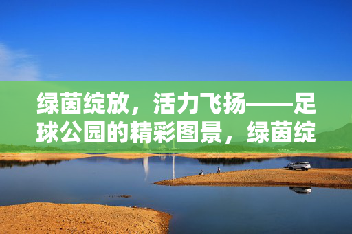 绿茵绽放，活力飞扬——足球公园的精彩图景，绿茵绽放，活力飞扬——足球公园的精彩图景