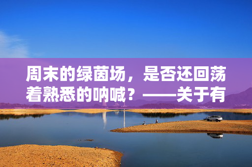 周末的绿茵场，是否还回荡着熟悉的呐喊？——关于有没有足球比赛的日常追问，周末的绿茵场，是否还回荡着熟悉的呐喊？