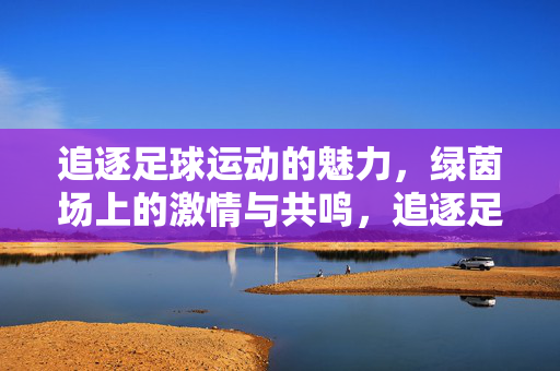 追逐足球运动的魅力，绿茵场上的激情与共鸣，追逐足球运动的魅力，绿茵场上的激情与共鸣