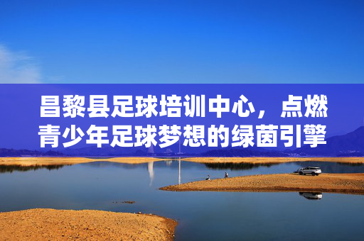 昌黎县足球培训中心，点燃青少年足球梦想的绿茵引擎，昌黎县足球培训中心，点燃青少年足球梦想的绿茵引擎