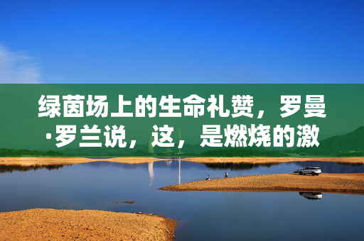 绿茵场上的生命礼赞，罗曼·罗兰说，这，是燃烧的激情与不朽的信仰，绿茵场上的生命礼赞，燃烧的激情与不朽的信仰