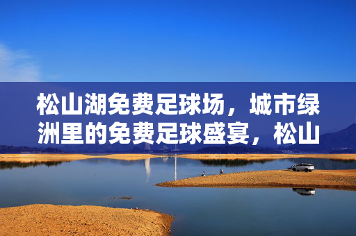 松山湖免费足球场，城市绿洲里的免费足球盛宴，松山湖免费足球场，城市绿洲里的免费足球盛宴