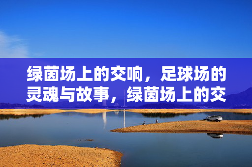 绿茵场上的交响,足球场的灵魂与故事,绿茵场上的交响,足球场的灵魂与故事