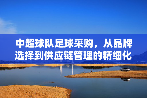 中超球队足球采购，从品牌选择到供应链管理的精细化运作，中超球队足球采购，从品牌选择到供应链管理的精细化运作