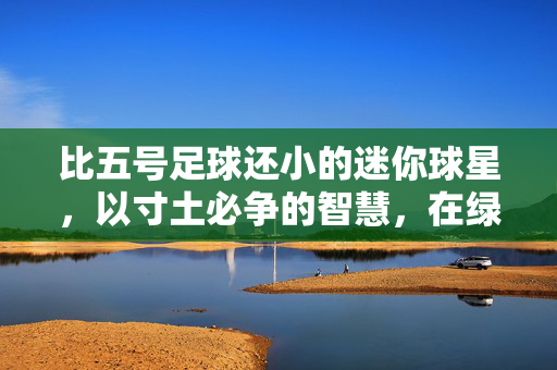 比五号足球还小的迷你球星，以寸土必争的智慧，在绿茵场上绽放独特光芒，迷你足球巨星，寸土必争的绿茵智慧绽放