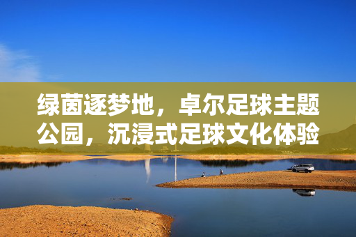 绿茵逐梦地，卓尔足球主题公园，沉浸式足球文化体验的活力殿堂，绿茵逐梦地，卓尔足球主题公园，沉浸式足球文化体验的活力殿堂