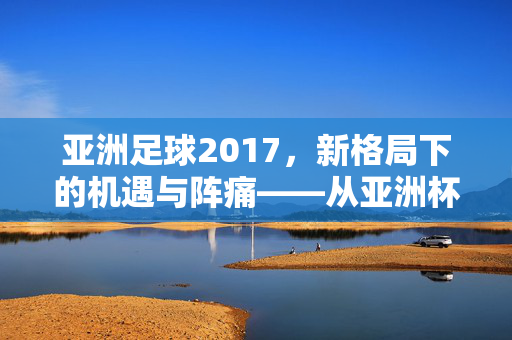 亚洲足球2017，新格局下的机遇与阵痛——从亚洲杯到联赛的深度观察，亚洲足球2017，新格局下的机遇与阵痛——从亚洲杯到联赛的深度观察
