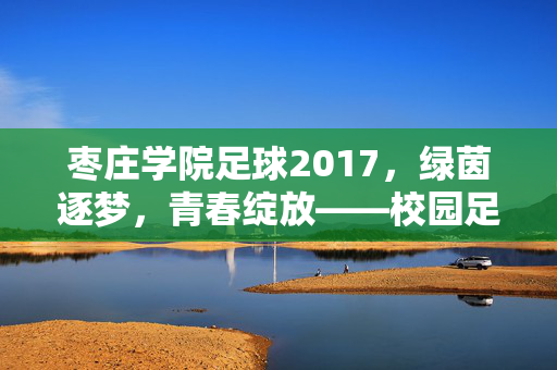 枣庄学院足球2017，绿茵逐梦，青春绽放——校园足球的活力与成长