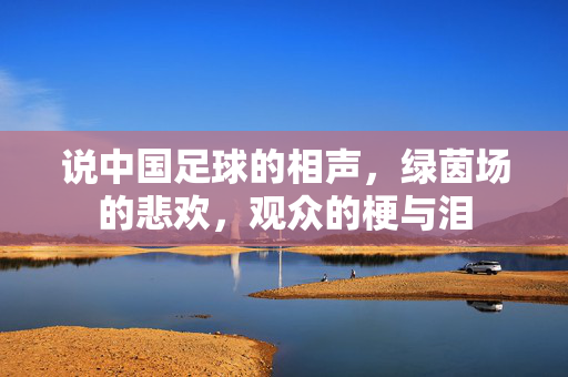 说中国足球的相声，绿茵场的悲欢，观众的梗与泪