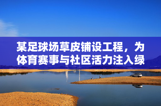 某足球场草皮铺设工程，为体育赛事与社区活力注入绿色生命力
