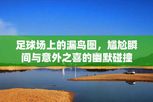 足球场上的漏鸟图，尴尬瞬间与意外之喜的幽默碰撞