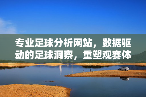 专业足球分析网站，数据驱动的足球洞察，重塑观赛体验