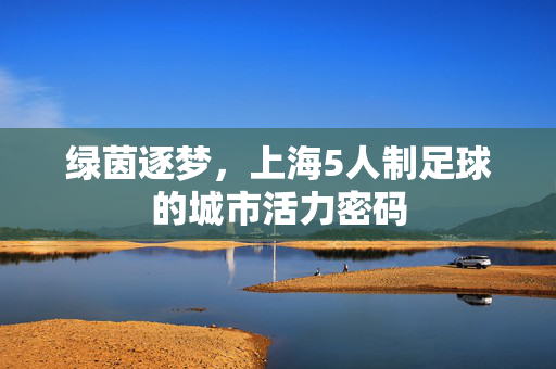 绿茵逐梦，上海5人制足球的城市活力密码