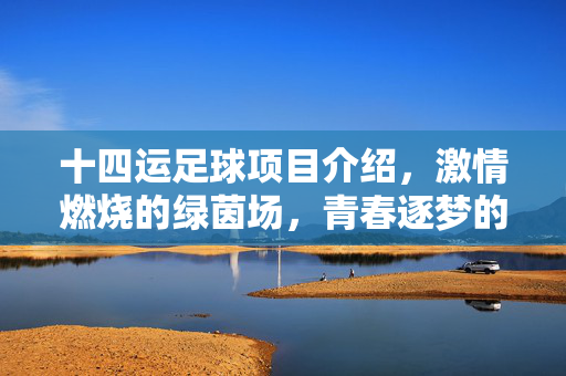 十四运足球项目介绍，激情燃烧的绿茵场，青春逐梦的竞技舞台