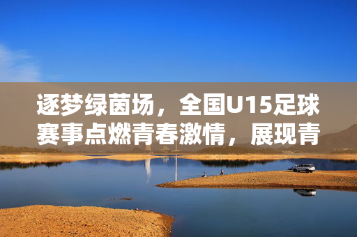逐梦绿茵场，全国U15足球赛事点燃青春激情，展现青训未来之光，逐梦绿茵场，全国U15足球赛事点燃青春激情，展现青训未来之光