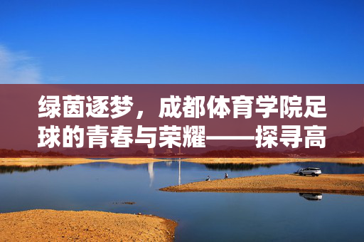 绿茵逐梦，成都体育学院足球的青春与荣耀——探寻高校足球的成都范
