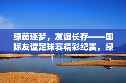 绿茵逐梦，友谊长存——国际友谊足球赛精彩纪实，绿茵逐梦，友谊长存——国际友谊足球赛精彩纪实