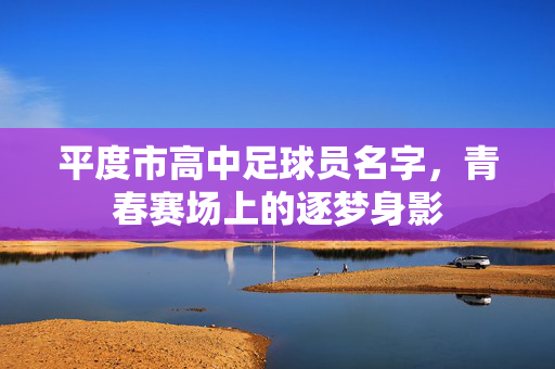 平度市高中足球员名字，青春赛场上的逐梦身影