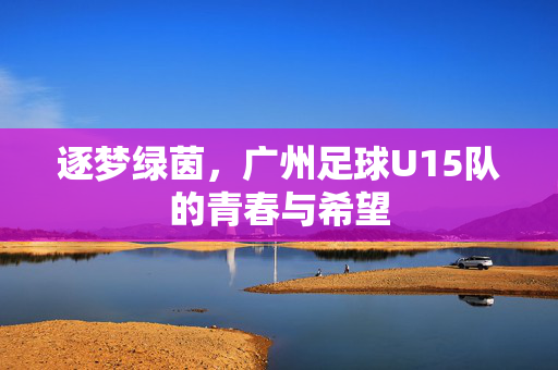 逐梦绿茵，广州足球U15队的青春与希望