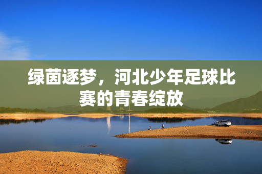 绿茵逐梦，河北少年足球比赛的青春绽放