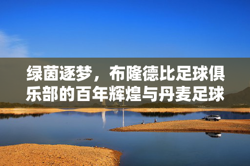 绿茵逐梦，布隆德比足球俱乐部的百年辉煌与丹麦足球的璀璨名片