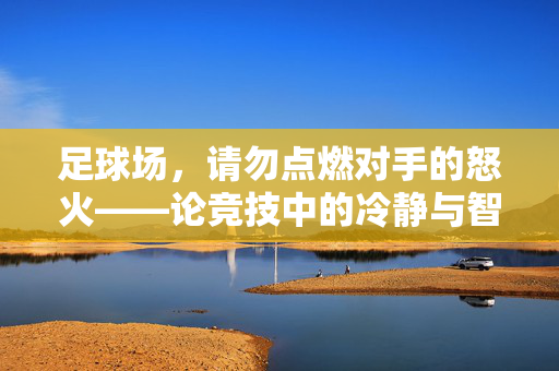 足球场，请勿点燃对手的怒火——论竞技中的冷静与智慧