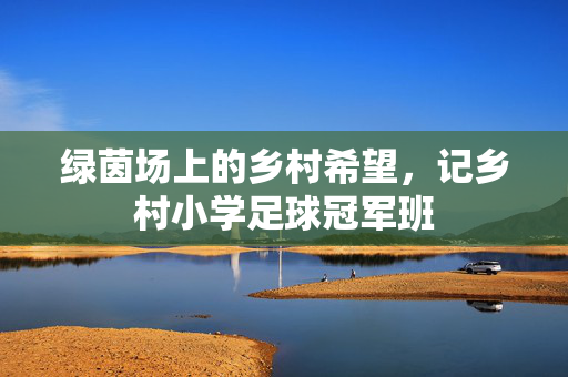 绿茵场上的乡村希望，记乡村小学足球冠军班