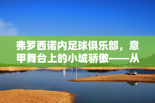 弗罗西诺内足球俱乐部，意甲舞台上的小城骄傲——从地方联赛到顶级联赛的奋斗足迹
