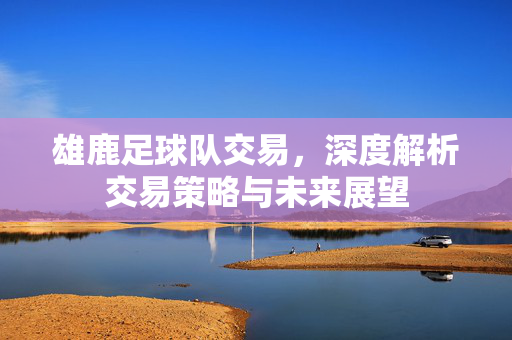 雄鹿足球队交易，深度解析交易策略与未来展望
