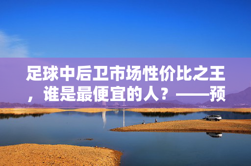 足球中后卫市场性价比之王，谁是最便宜的人？——预算视角下的防守核心选择指南