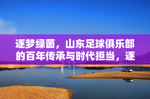 逐梦绿茵，山东足球俱乐部的百年传承与时代担当，逐梦绿茵，山东足球俱乐部的百年传承与时代担当