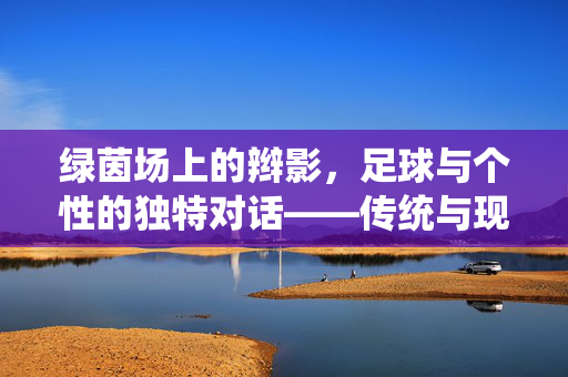 绿茵场上的辫影，足球与个性的独特对话——传统与现代的交织，绿茵场上的辫影，足球与个性的独特对话——传统与现代的交织
