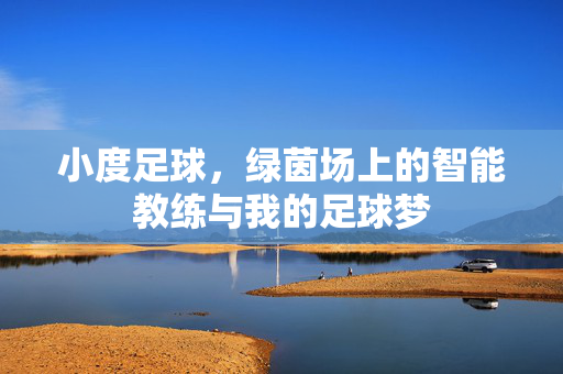 小度足球，绿茵场上的智能教练与我的足球梦